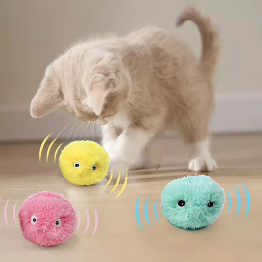 Smart Cat Toys for Healthy Development