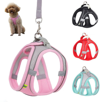 Stylish and Comfortable Dog Harness Leash Set for Small Dogs!