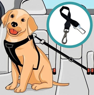 Pet Seatbelt: Keep Your Furry Friend Safe During Car Rides